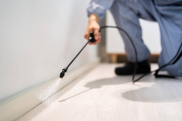Bed Bug Pre-Treatment Preparation Assessment in Pendleton