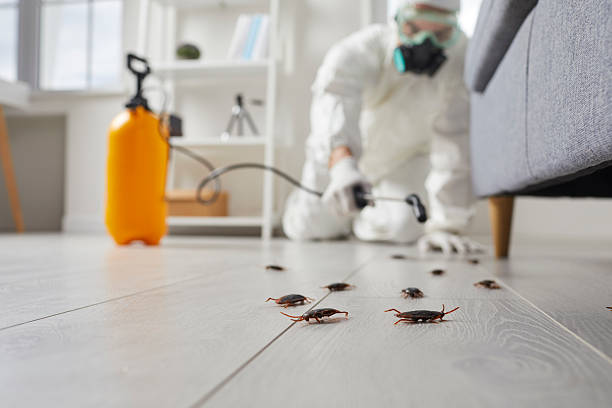 Post-Treatment Bed Bug Interceptor Monitoring in Pendleton