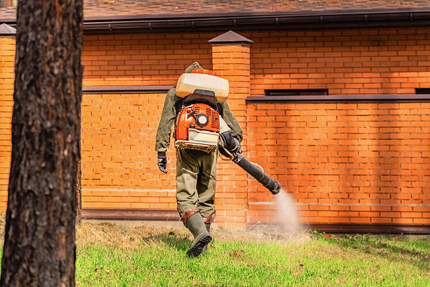 Bed Bug Clearance Verification and Documentation in Pendleton